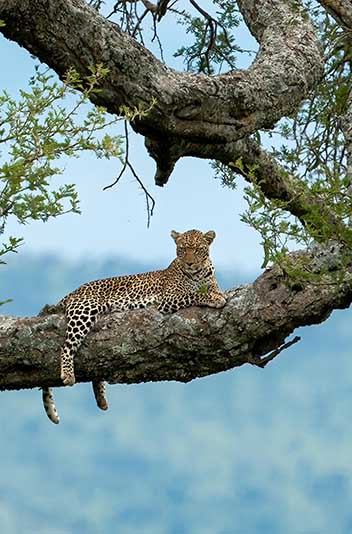 Nature and Wildlife Tour 1 2